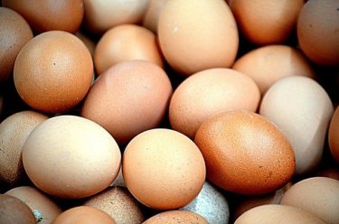 なぜ卵の殻の色に違いがあるのか？栄養価･価格･味の違いとは？